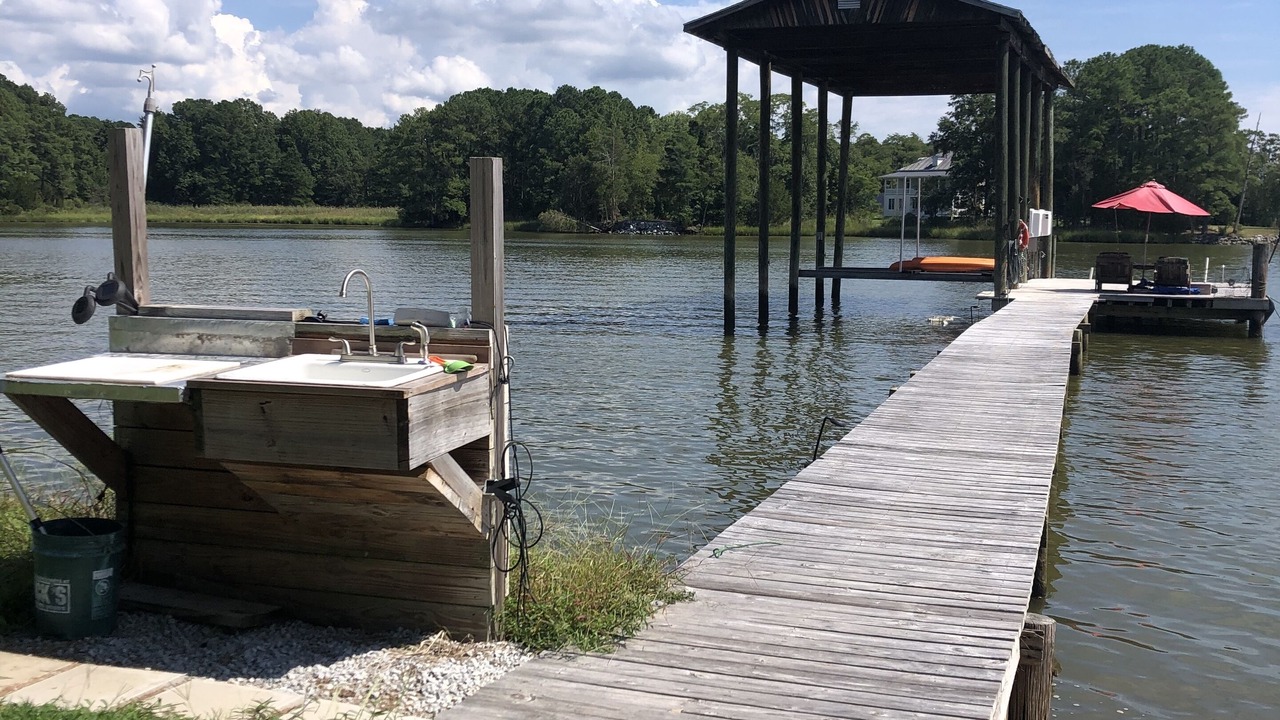 Photo of Outdoor in Swan Point