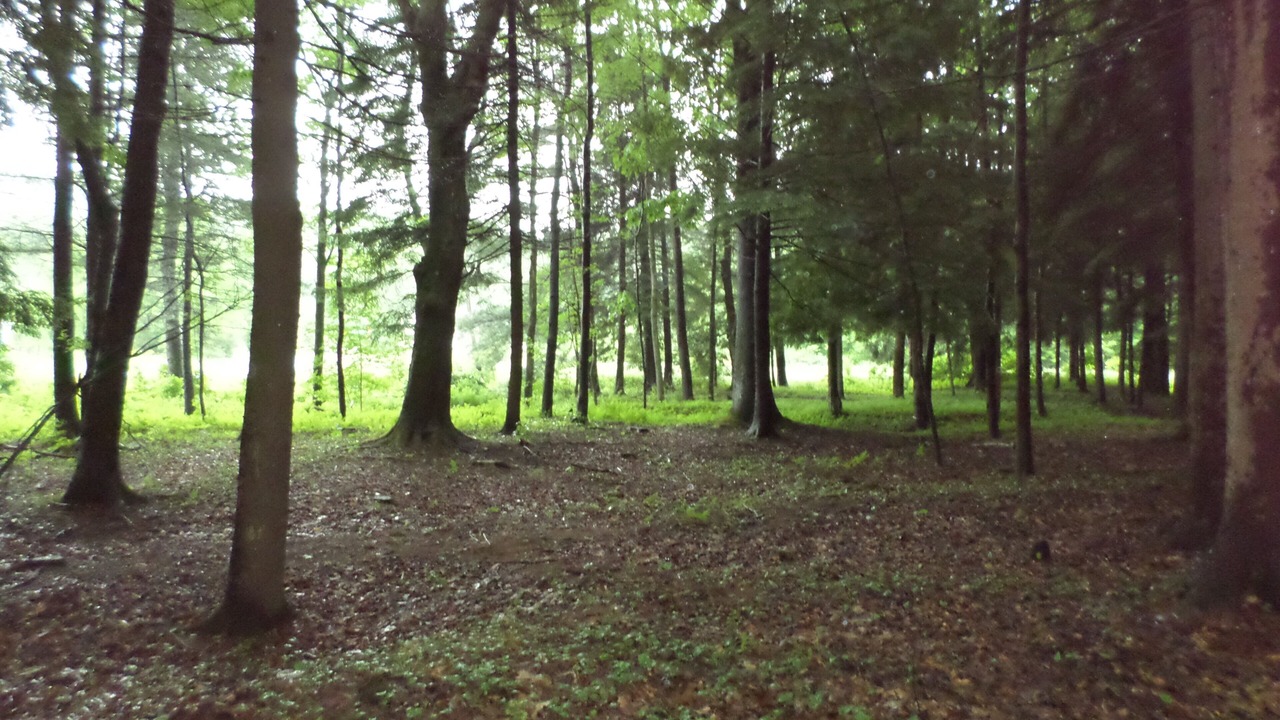 Photo of Outdoor in Clearfield
