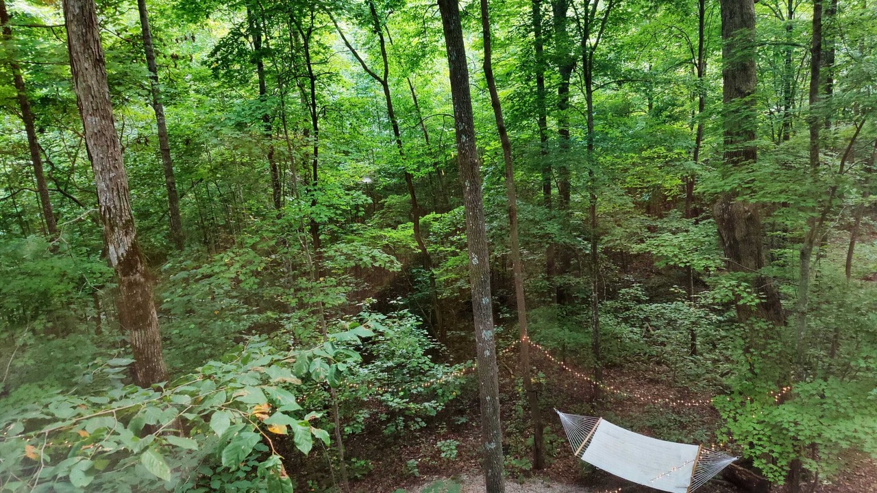 Photo of Others in Monteagle