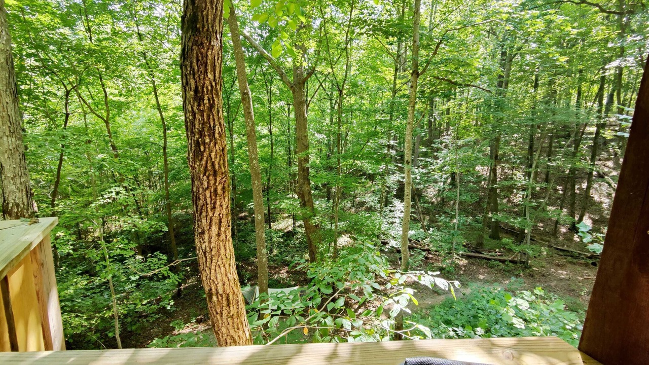 Photo of Bedroom in Monteagle