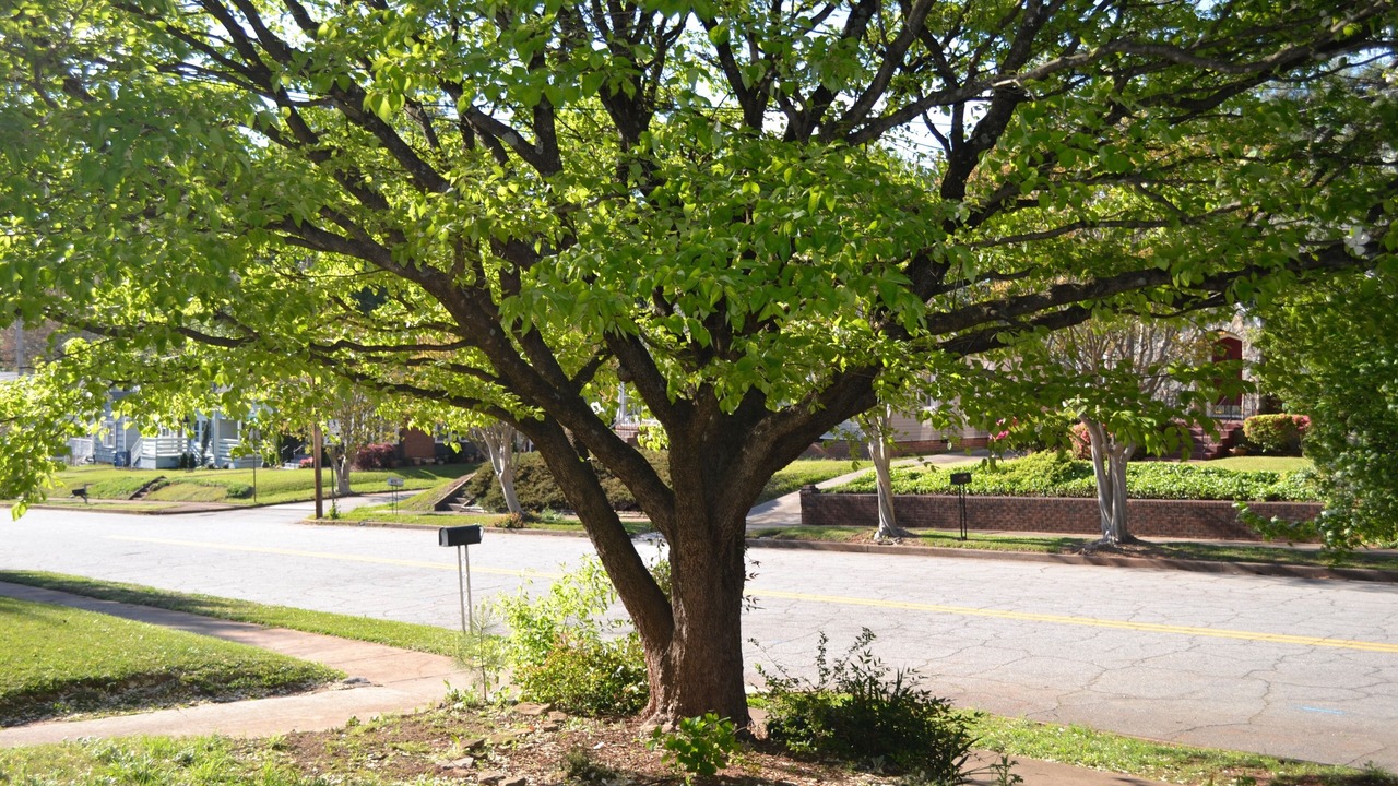 Photo of Outdoor in Jefferson Park
