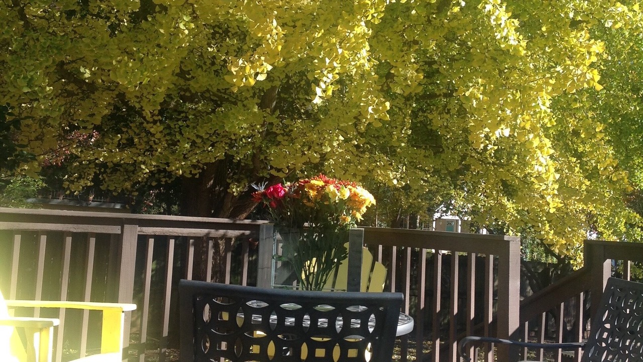Photo of Outdoor in Jefferson Park