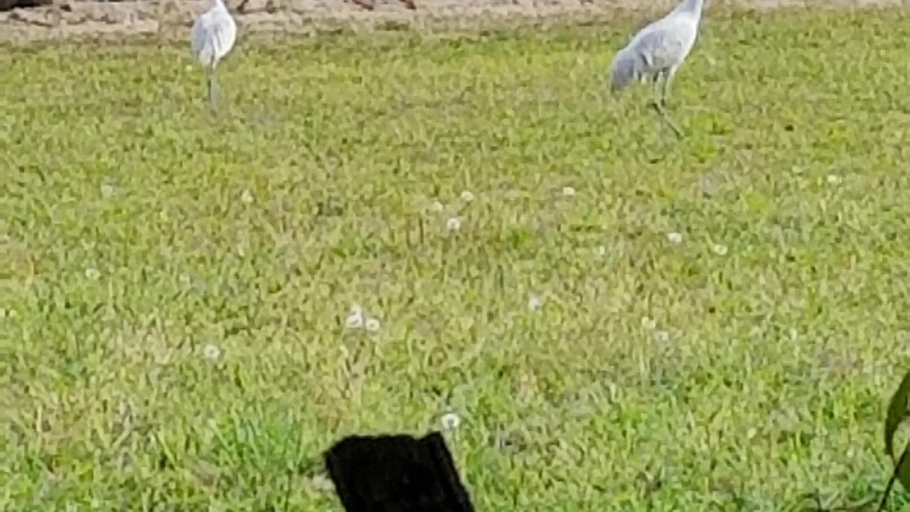 Photo of Others in Los Ranchos de Albuquerque