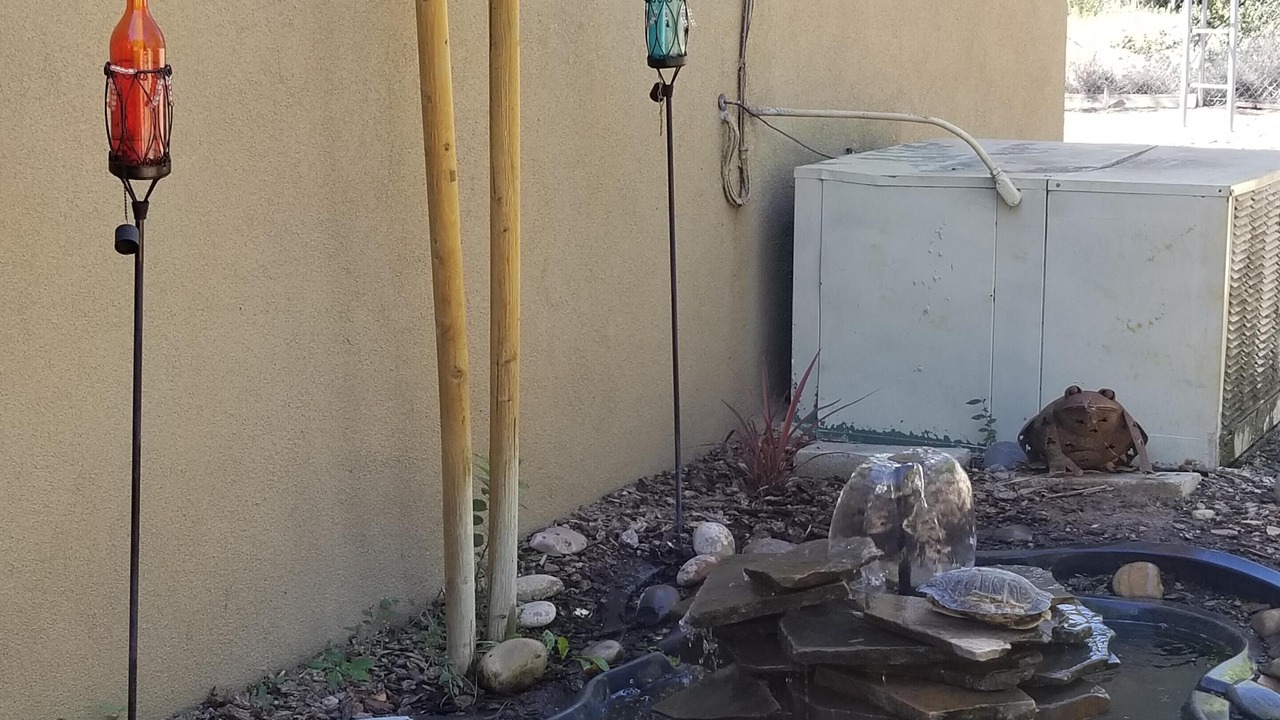 Photo of Outdoor in Los Ranchos de Albuquerque