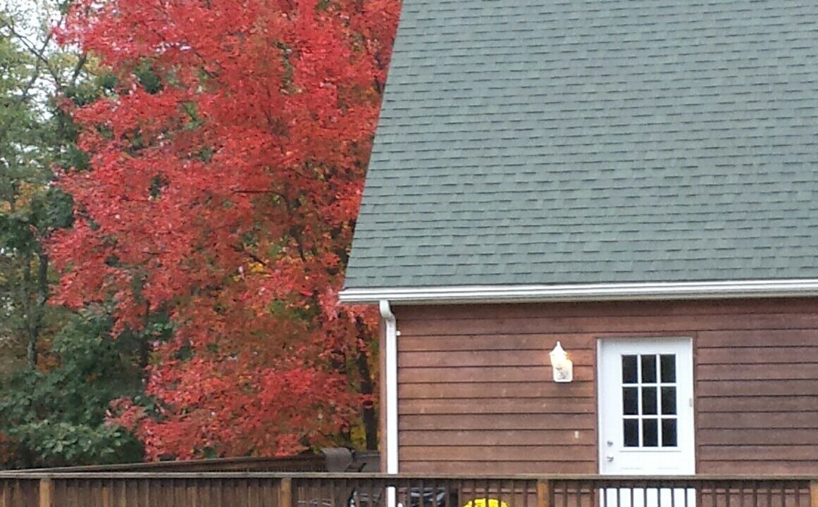Photo of Others in Berkeley Springs