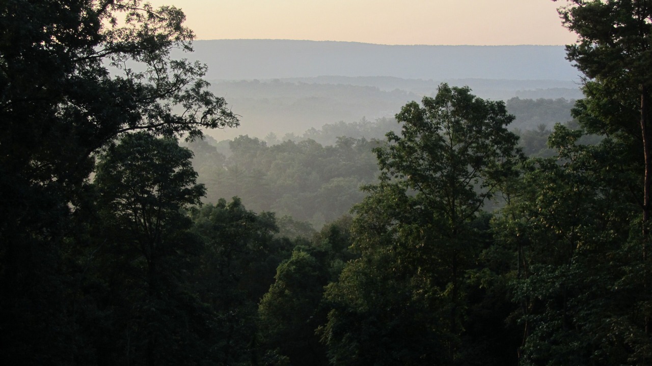 Photo of Others in Berkeley Springs