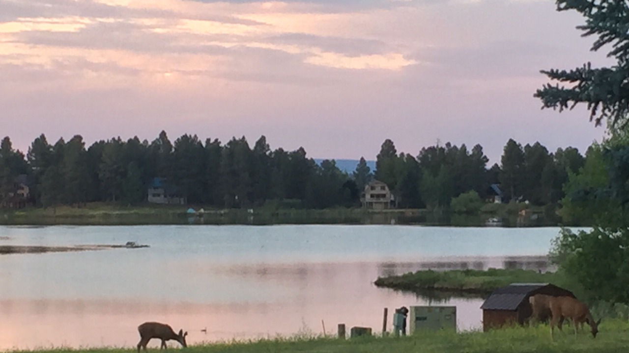 Photo of Others in Pagosa Springs