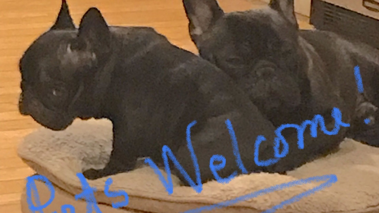 Photo of Others in Wevertown