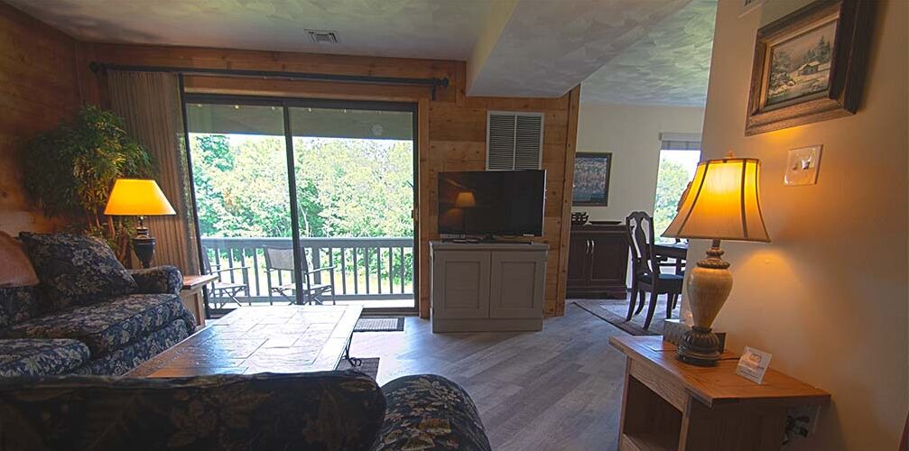 Photo of Livingroom in Seven Springs