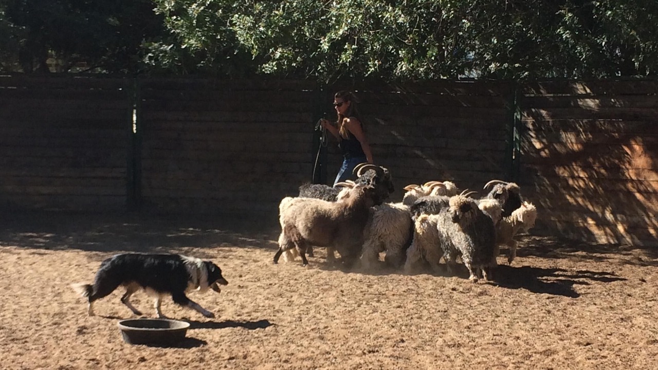 Photo of Others in Temecula