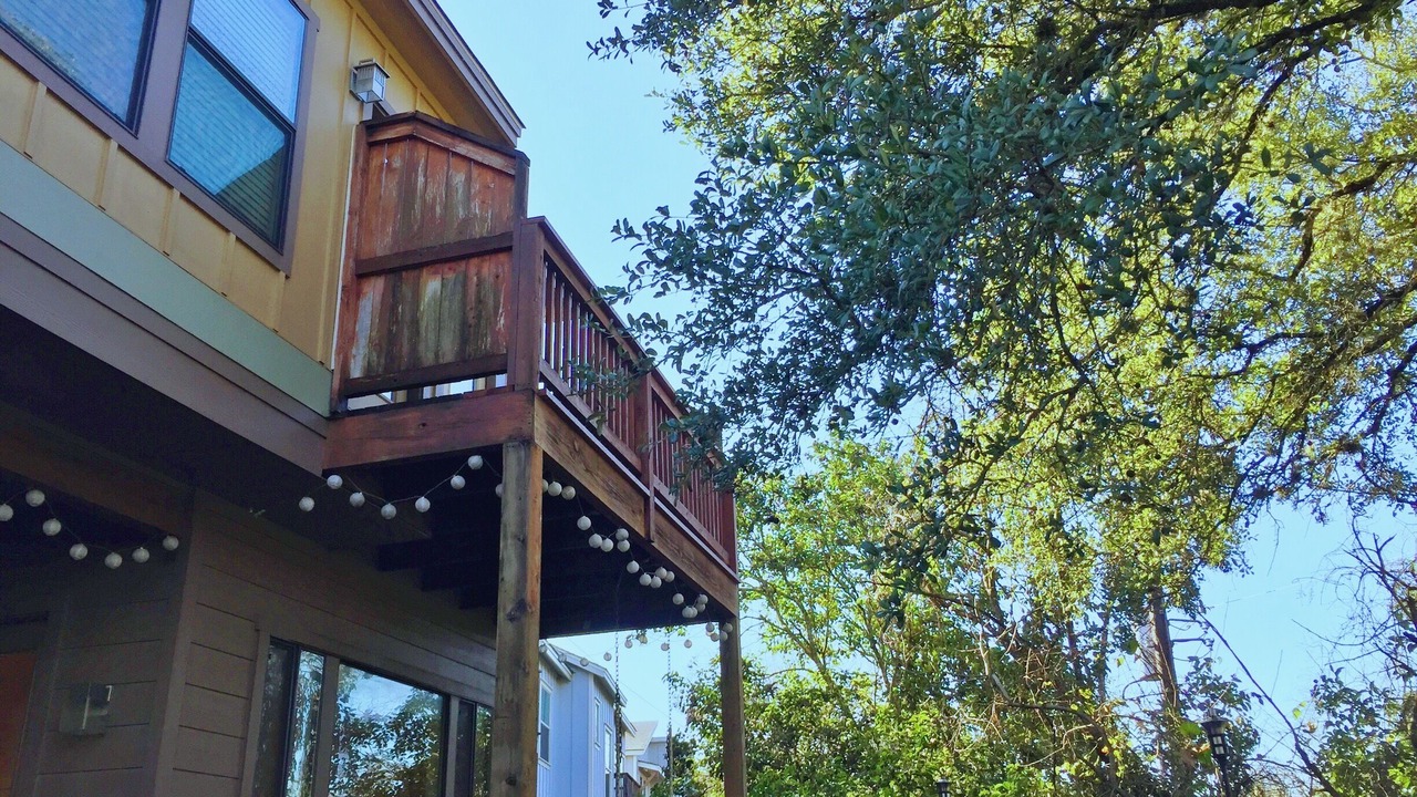 Photo of Outdoor in MLK