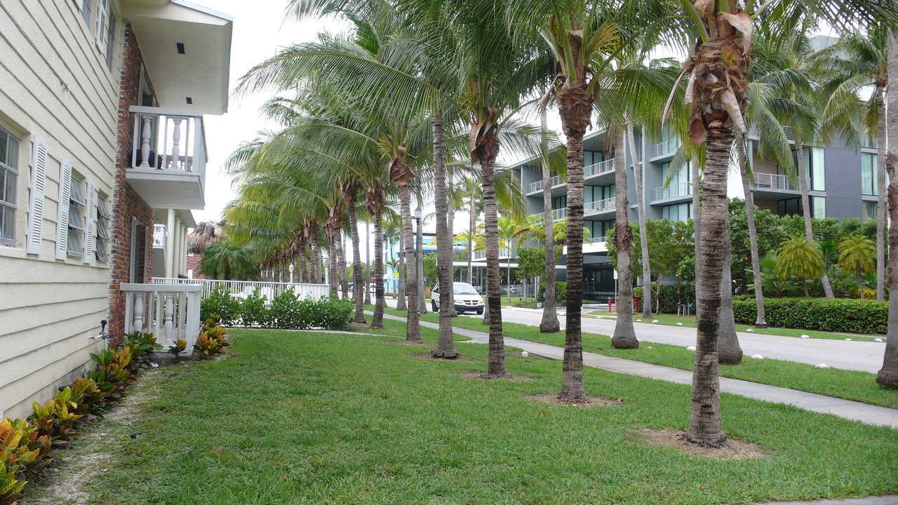 Photo of Outdoor in Key Biscayne