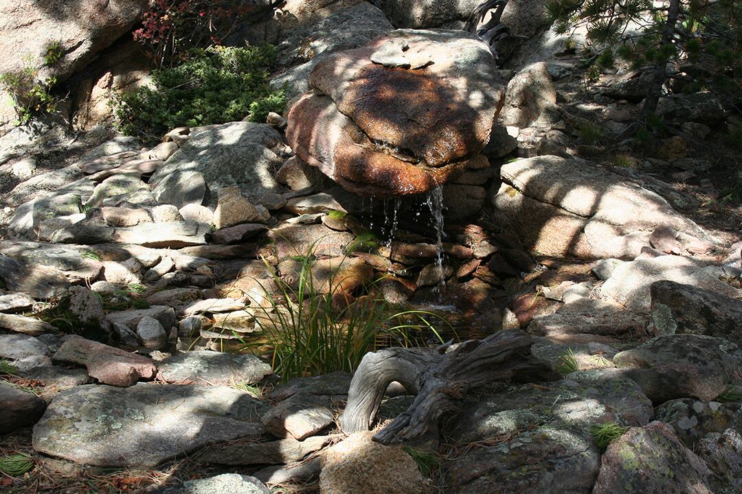 Photo of Outdoor in Ward