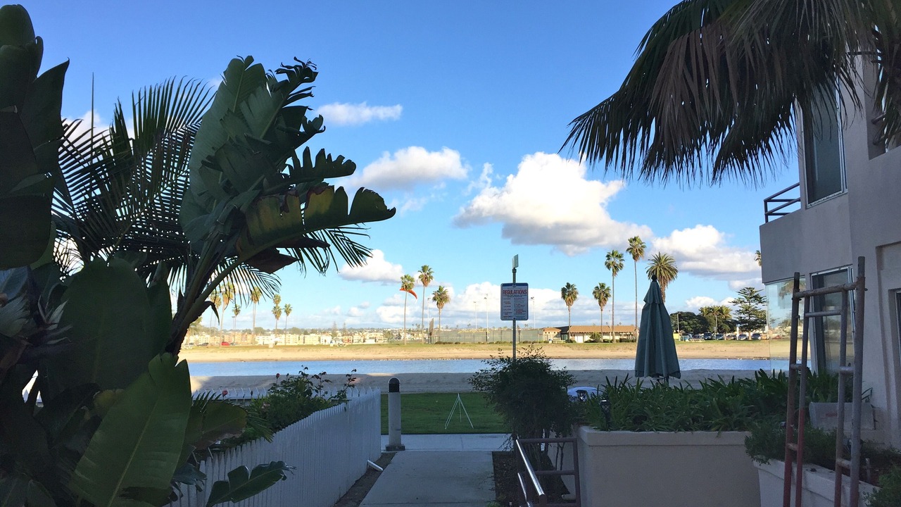 Photo of Others in Mission Beach
