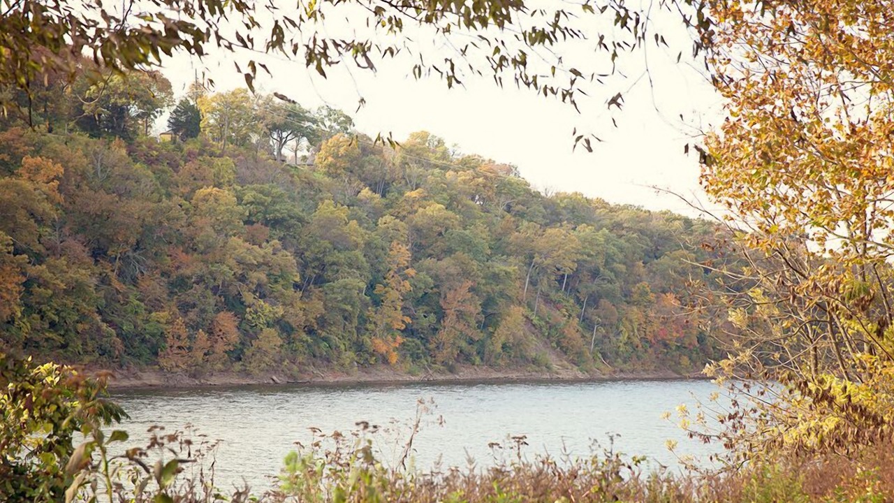 Photo of Others in Pennington Bend