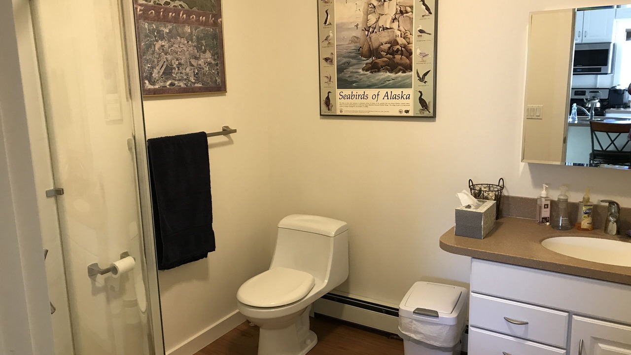 Photo of Bathroom in Fairbanks