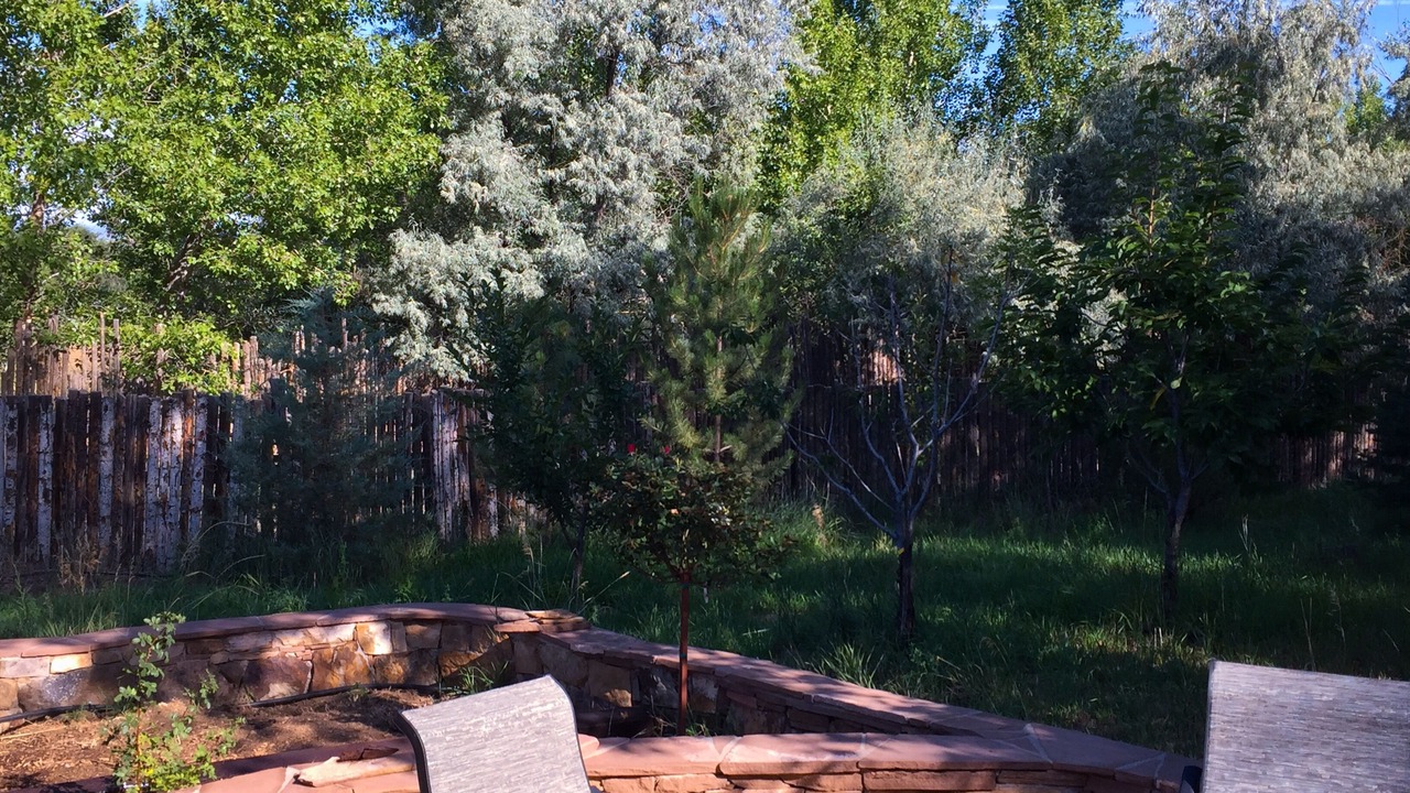 Photo of Outdoor in Taos