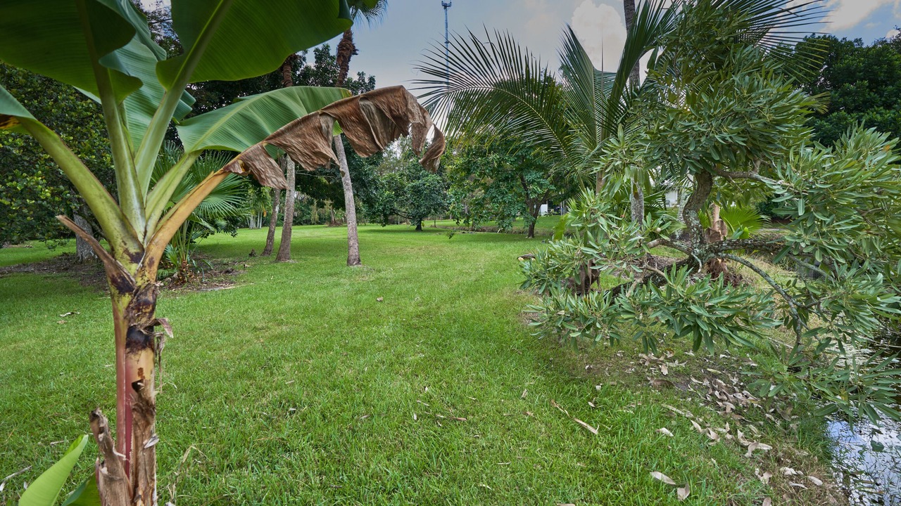 Photo of Outdoor in Lake Worth