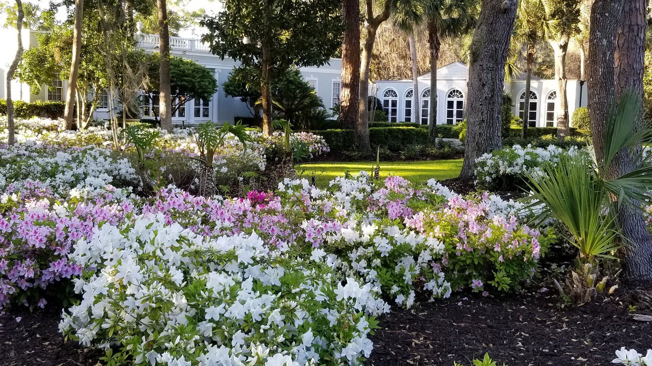 Photo of Others in Sea Island