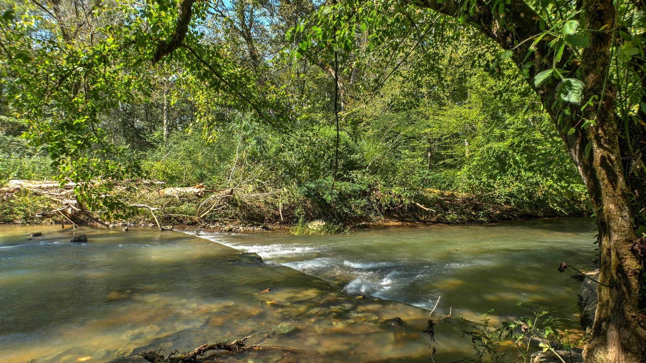 Photo of Others in Ooltewah