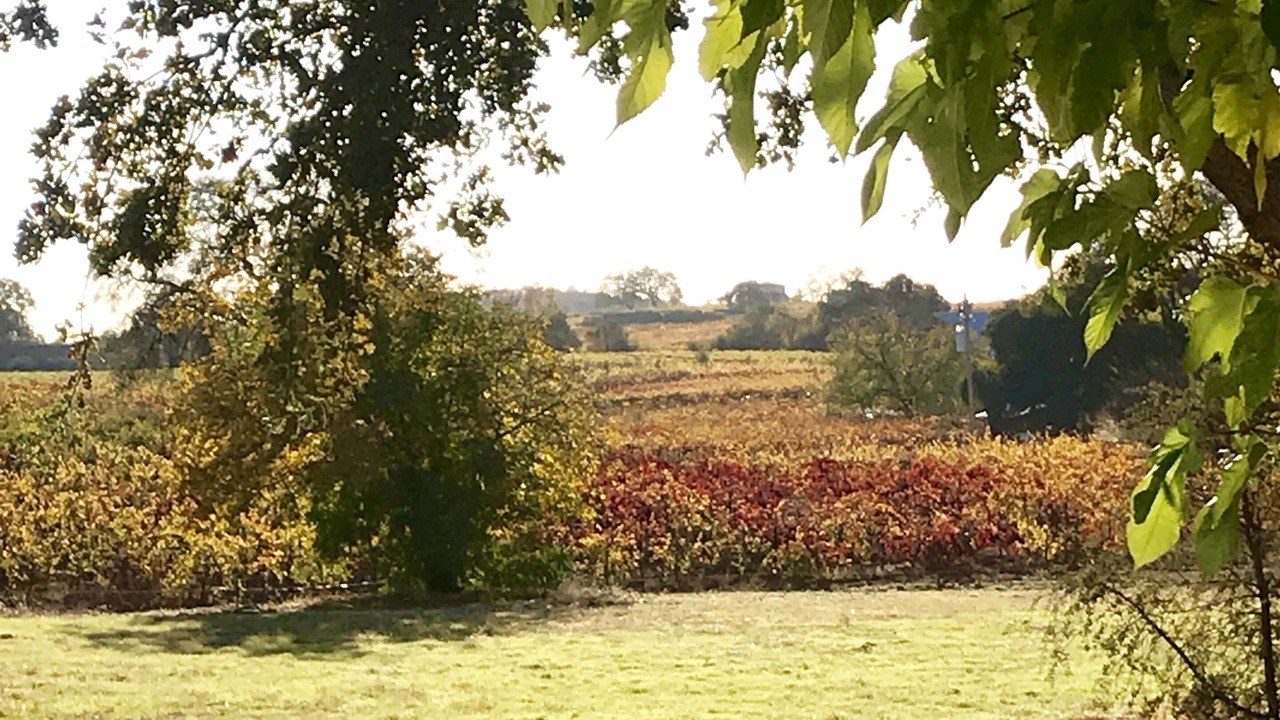 Photo of Outdoor in Shenandoah Valley