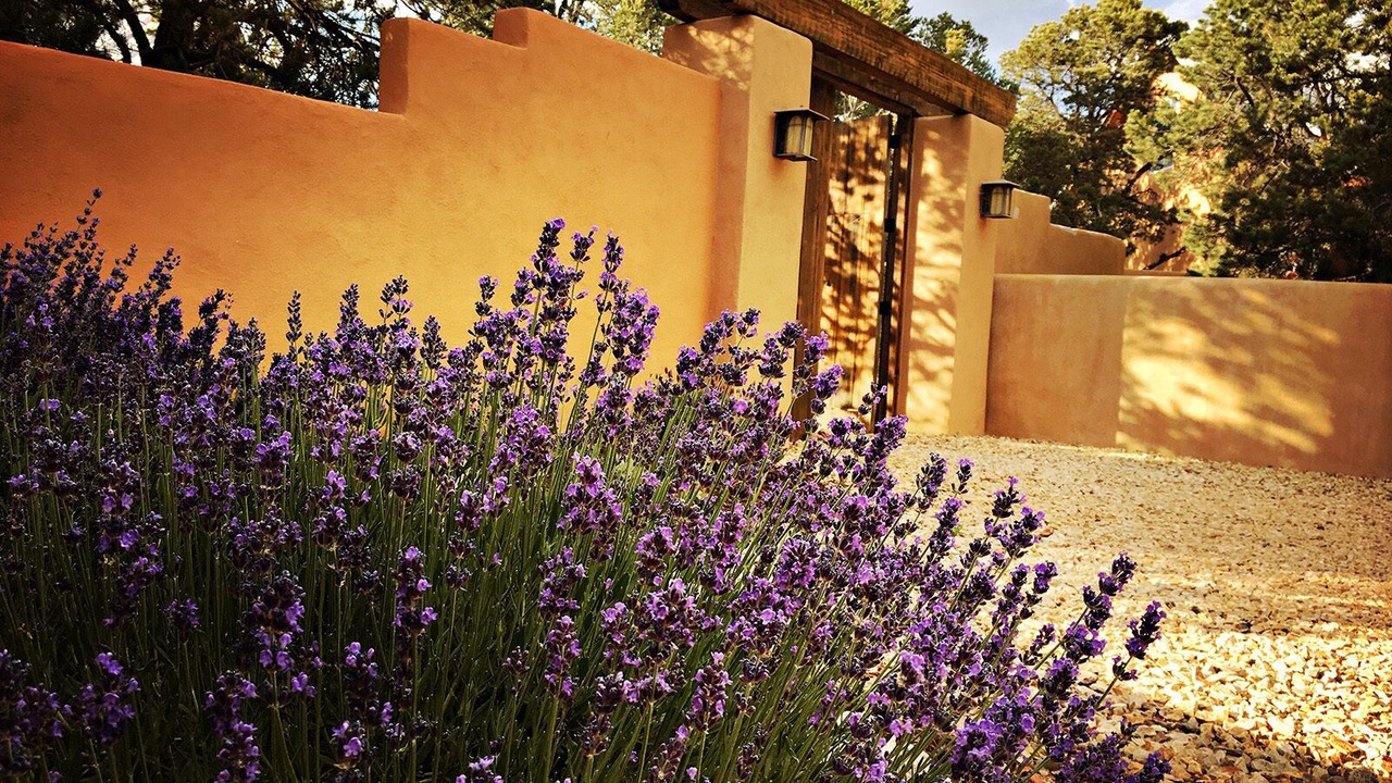 Photo of Outdoor in Canoncito