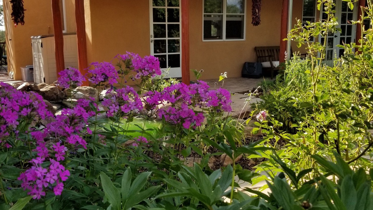 Photo of Outdoor in Canoncito