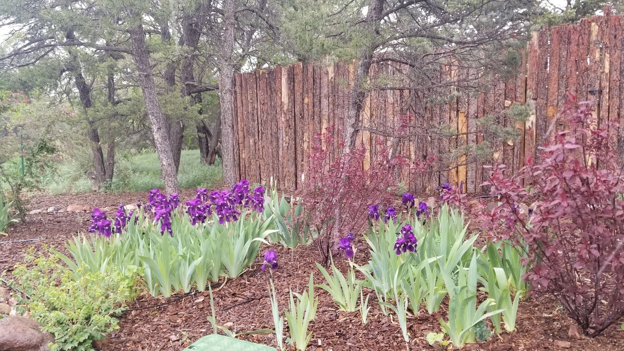 Photo of Outdoor in Canoncito