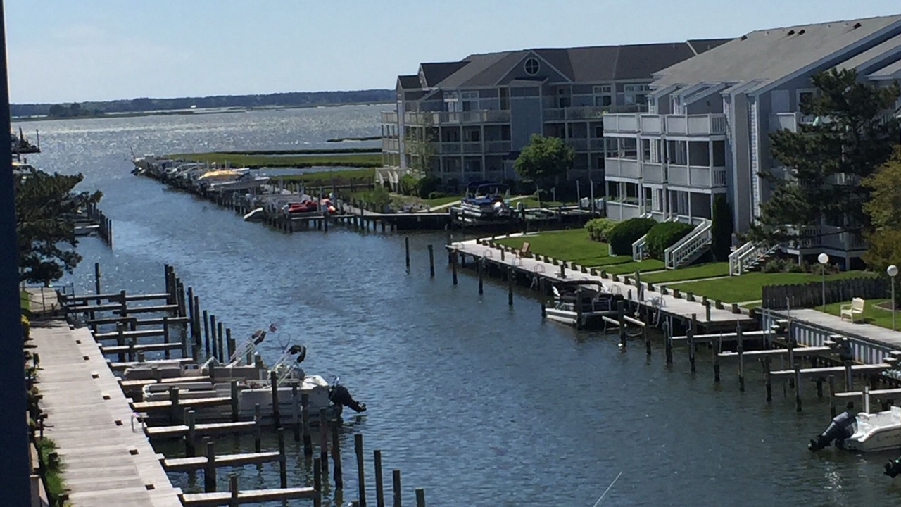 Photo of Others in North Ocean City