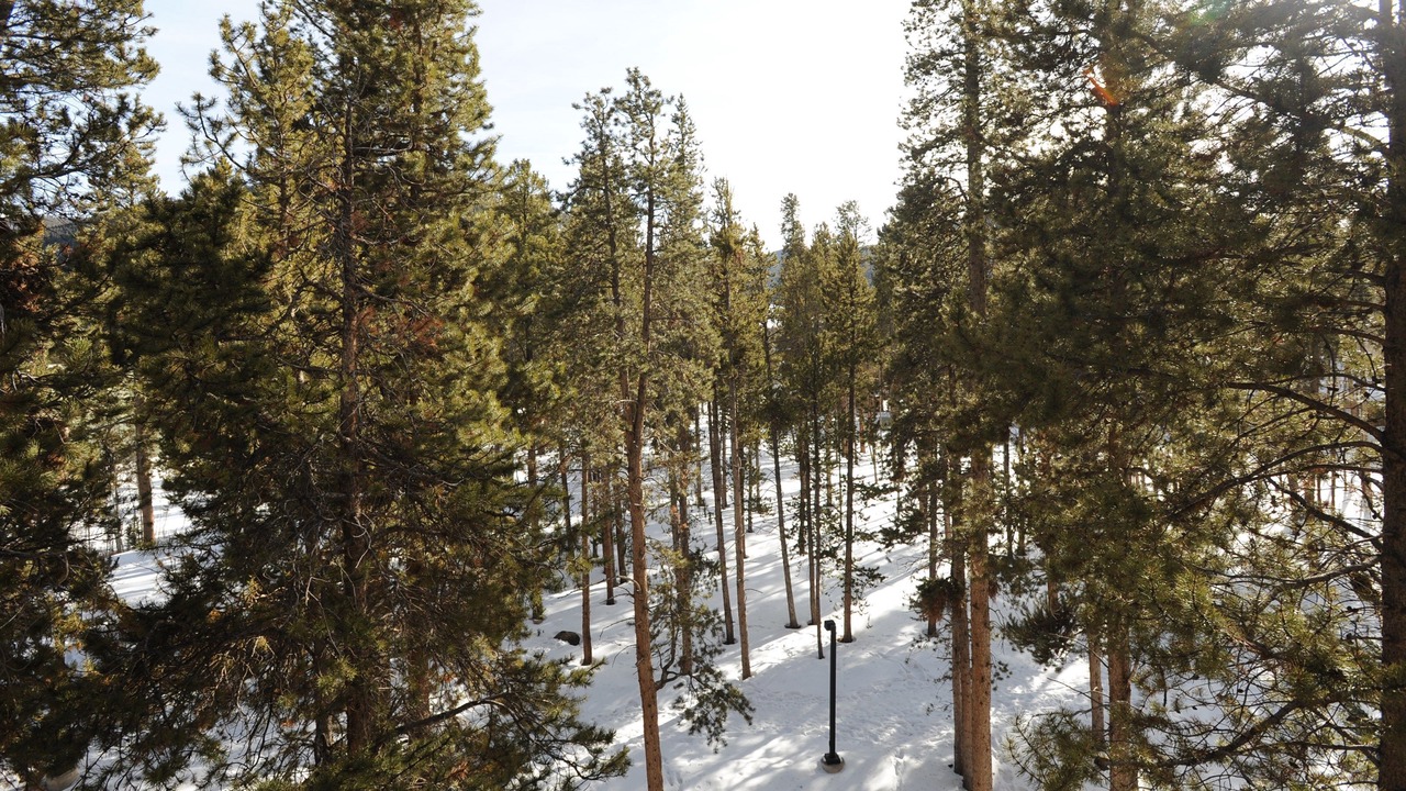 Photo of Others in Keystone
