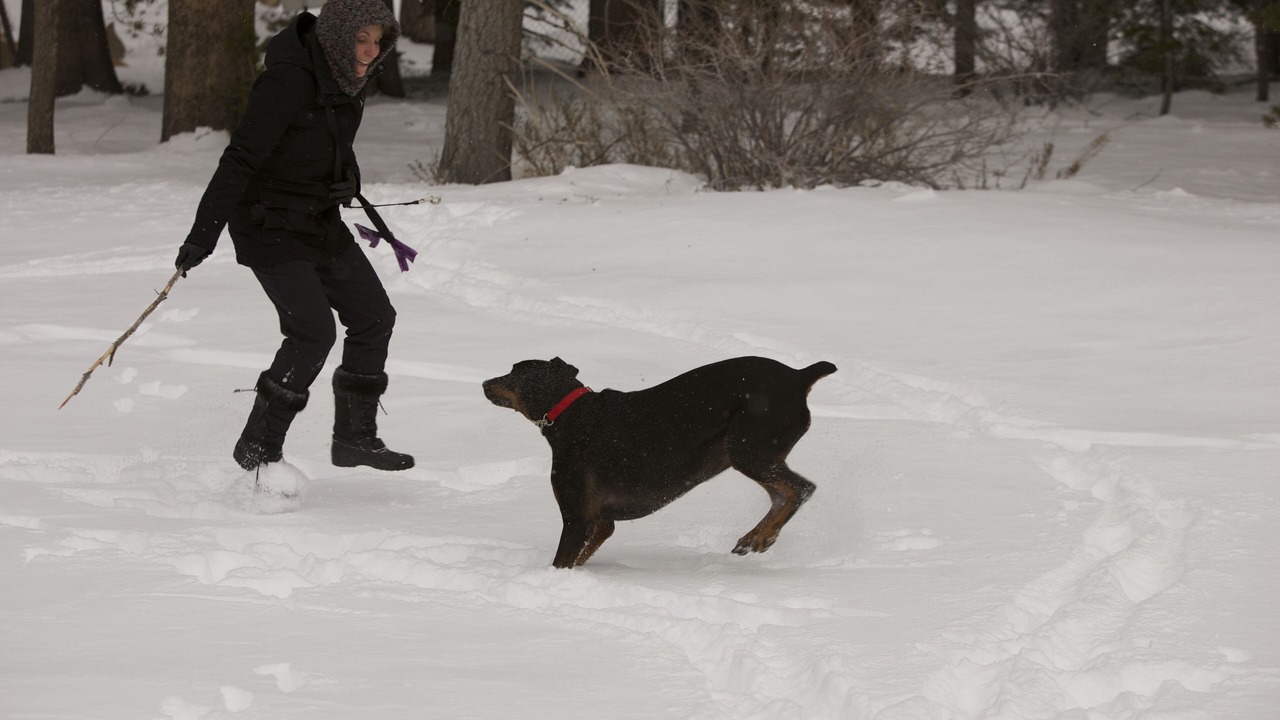 Photo of Others in Mammoth Lakes