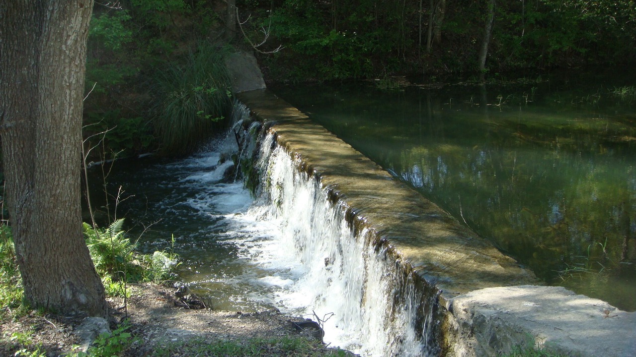 Photo of Others in Canyon Lake