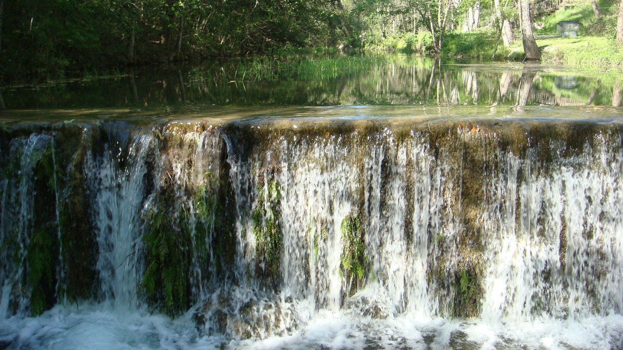 Photo of Others in Canyon Lake