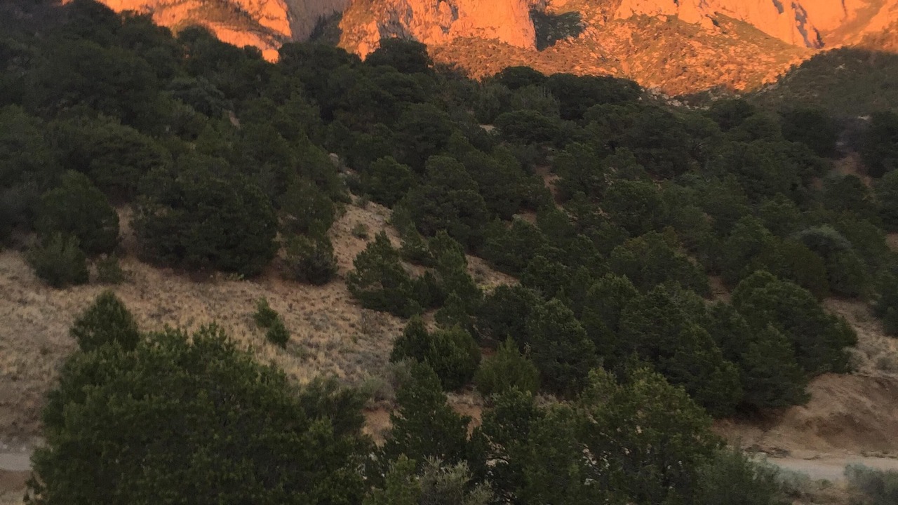 Photo of Others in Placitas
