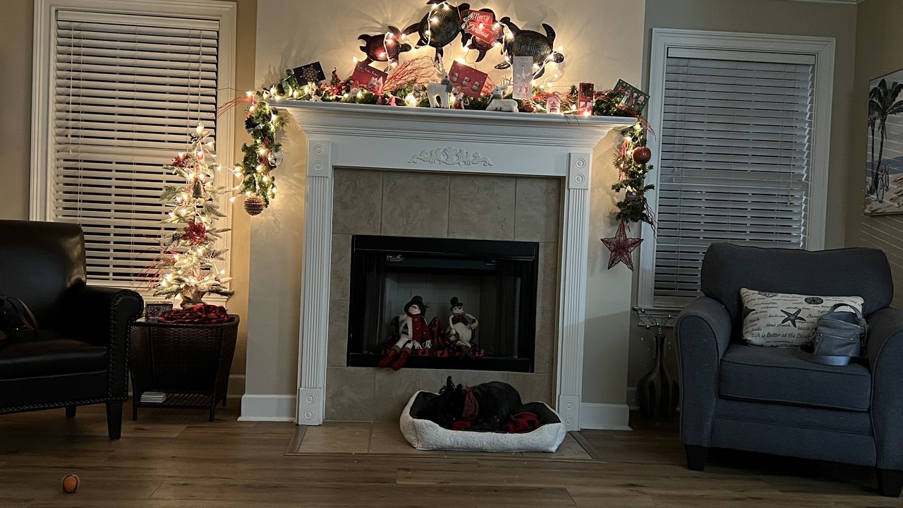 Photo of Livingroom in Demere Park