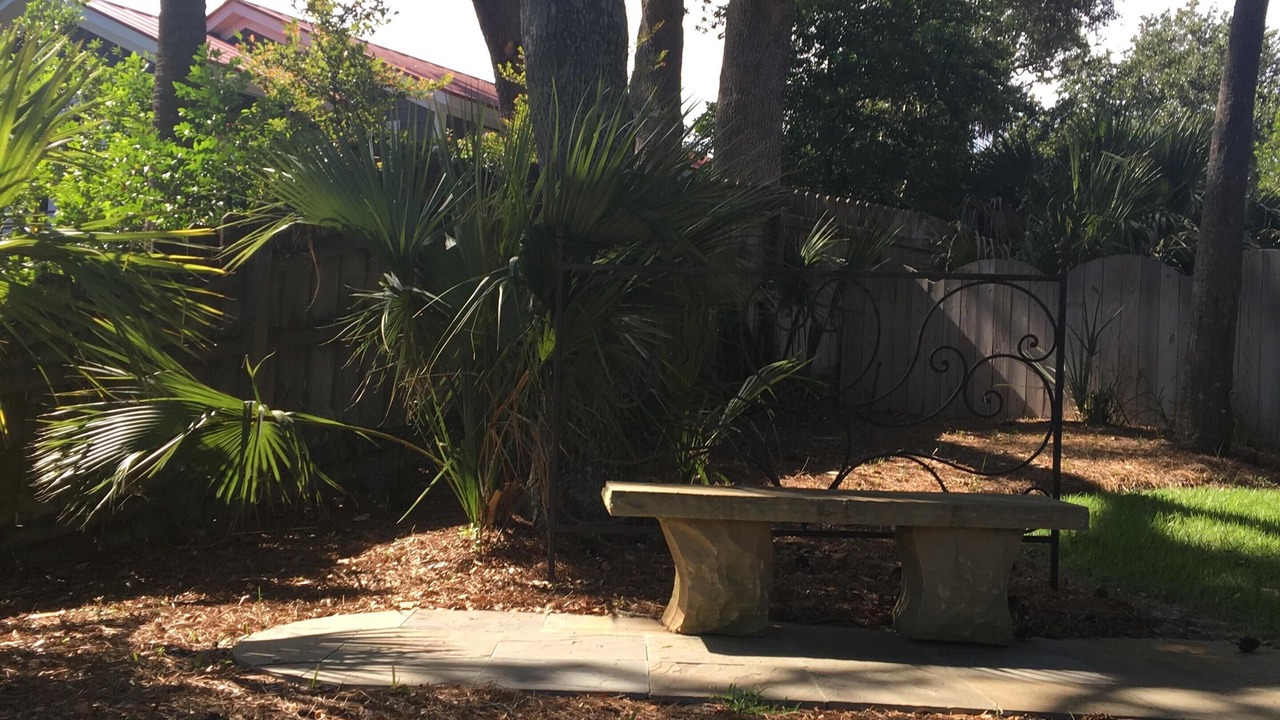 Photo of Outdoor in Folly Beach