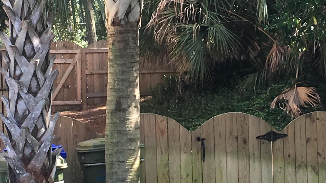 Photo of Outdoor in Folly Beach