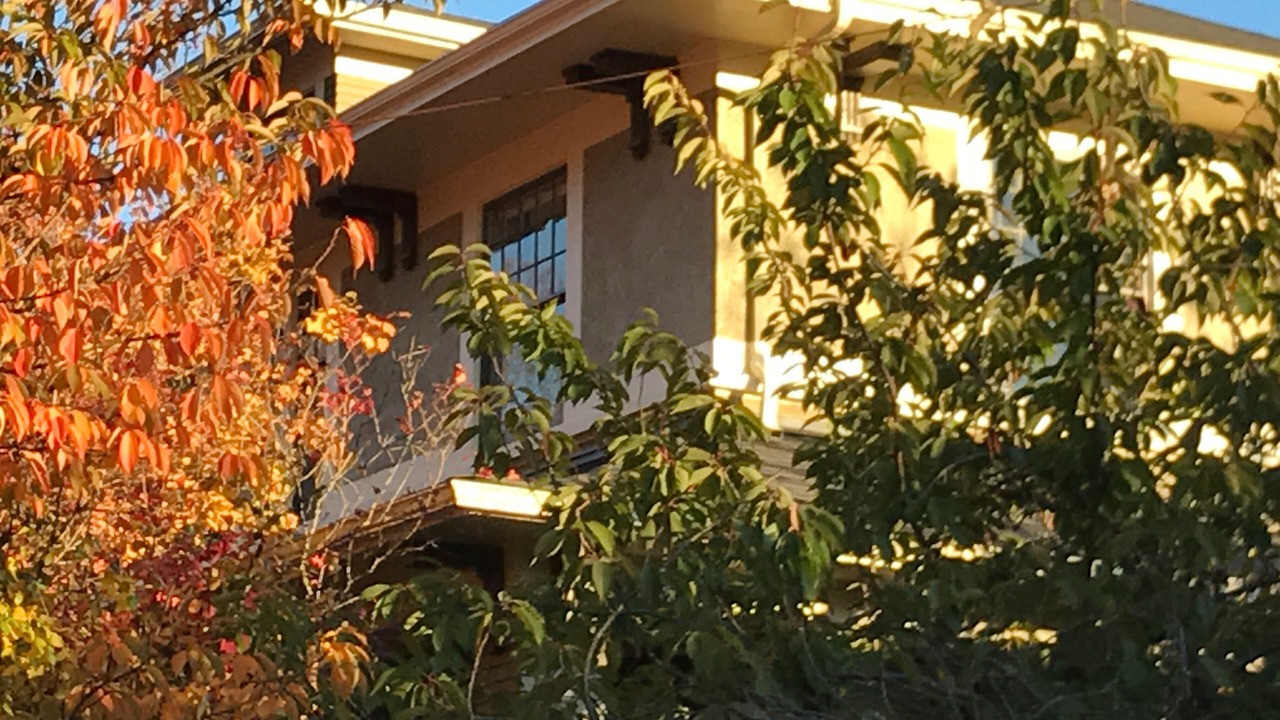 Photo of Outdoor in East Queen Anne