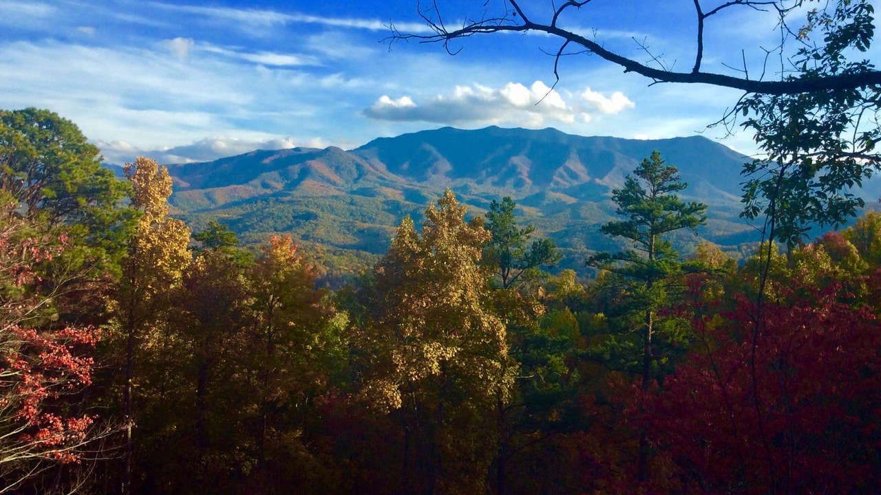 Photo of Others in Gatlinburg - Pigeon Forge