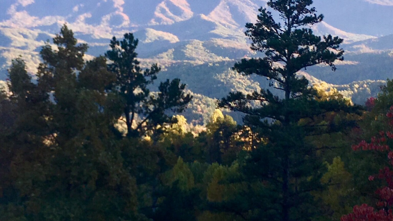 Photo of Others in Gatlinburg - Pigeon Forge