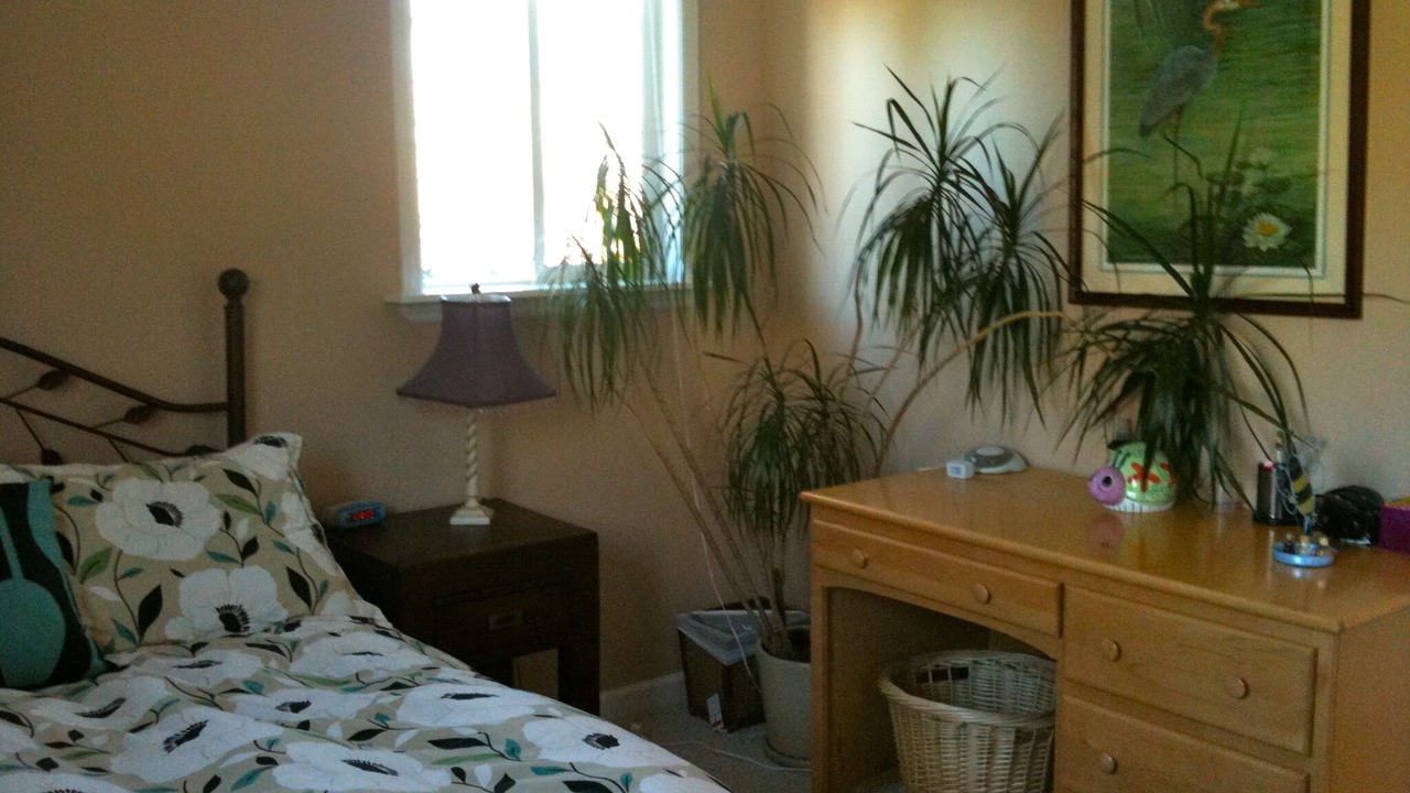 Photo of Bedroom in Boulder