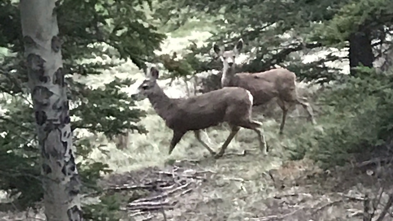 Photo of Others in Red River