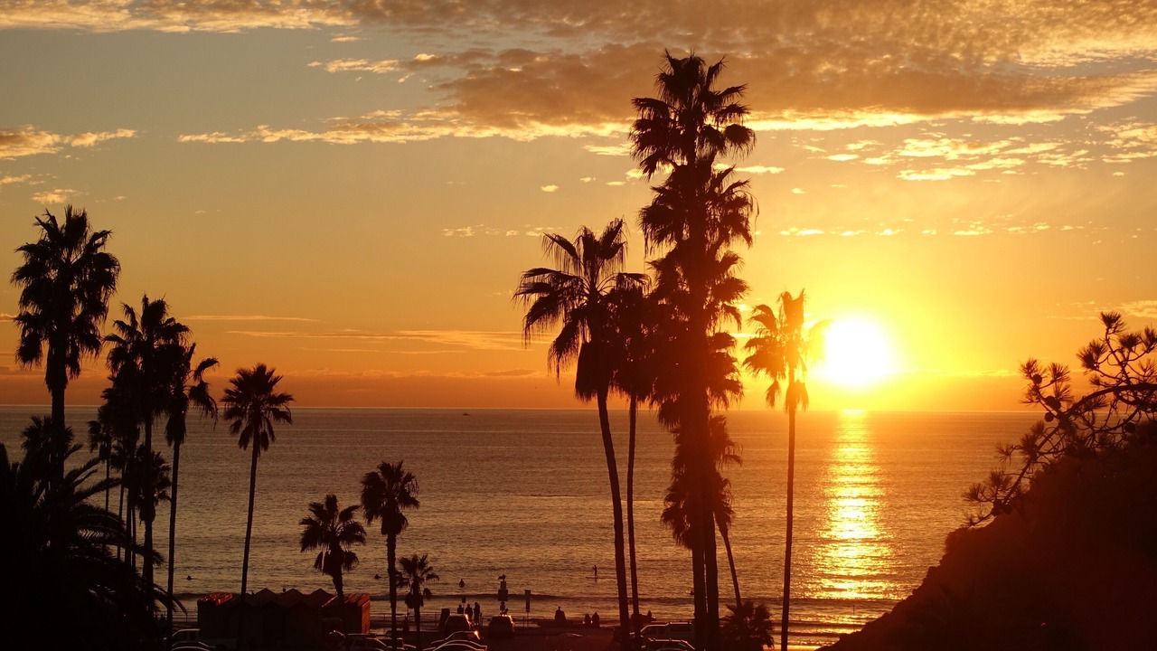 Photo of Others in North Pacific Beach