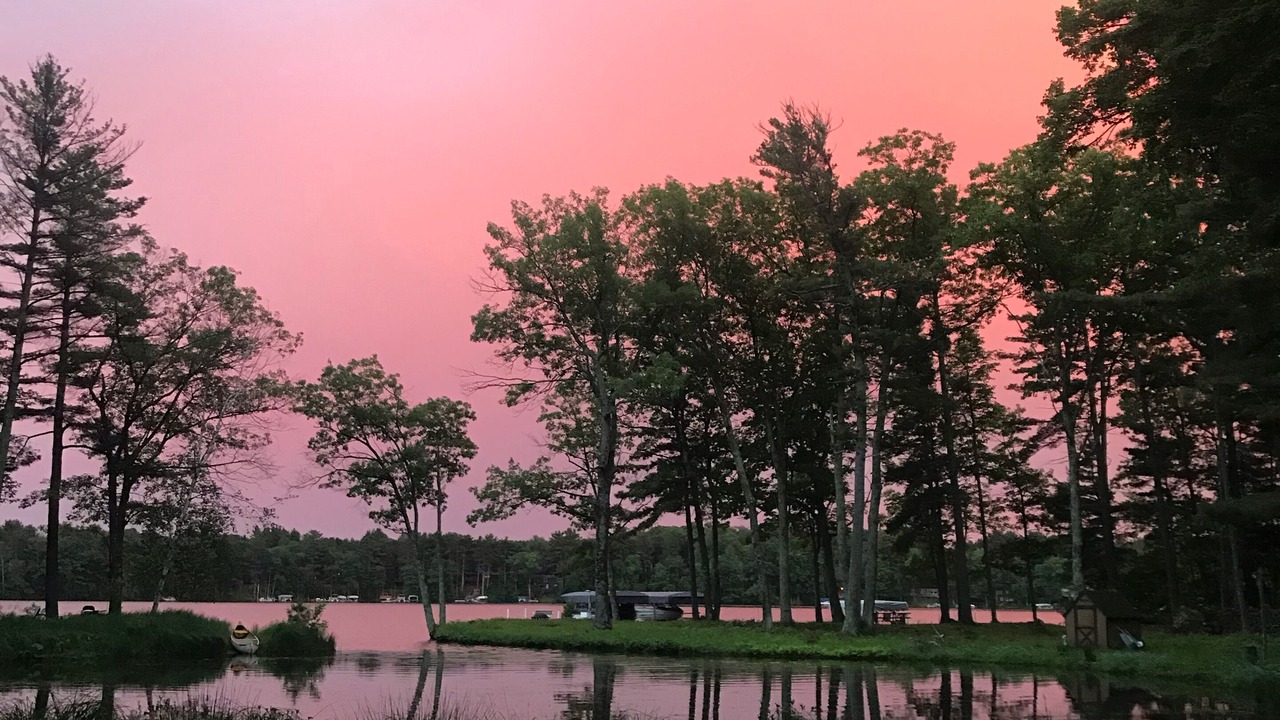 Photo of Outdoor in Hayward