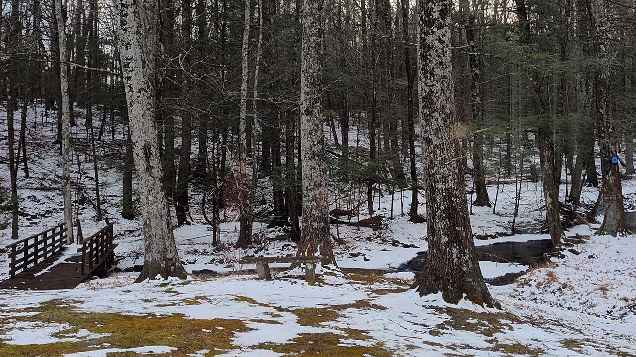 Photo of Others in Saugerties