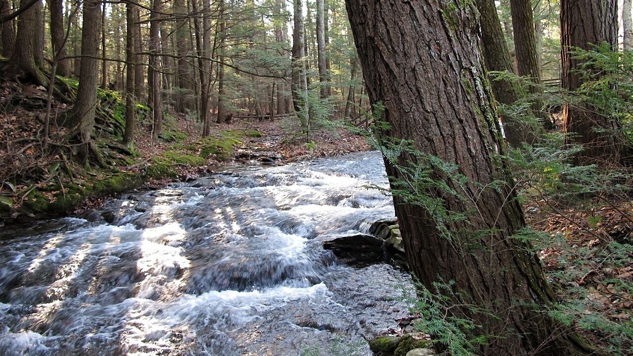 Photo of Others in Saugerties