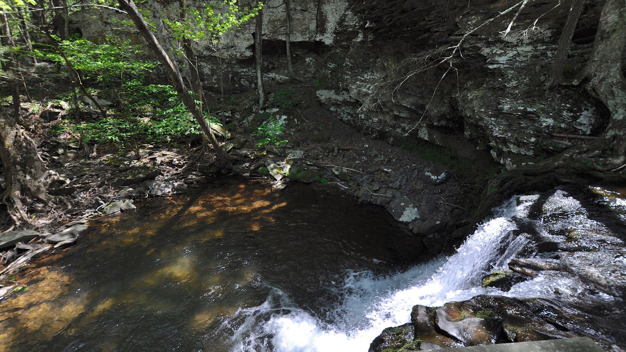 Photo of Others in Saugerties