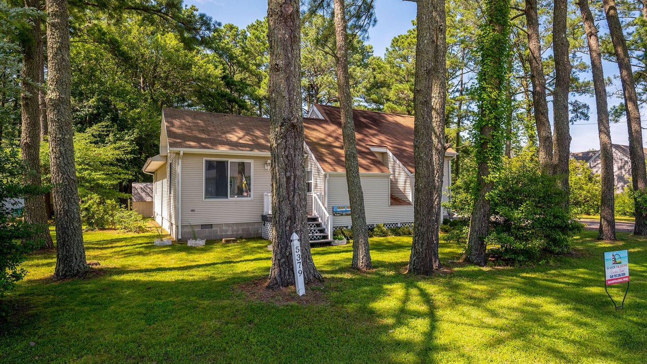 Photo of Others in Piney Island