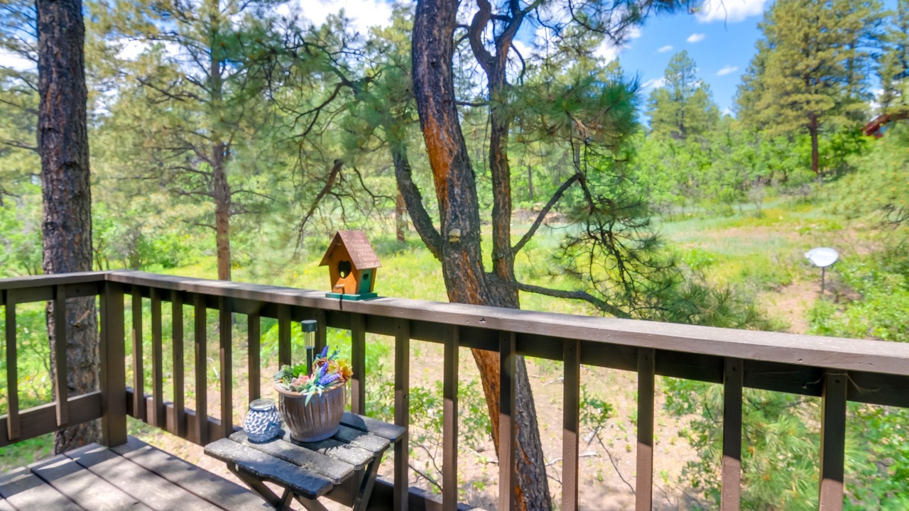 Photo of Patio Balcony in Twin Creek Village