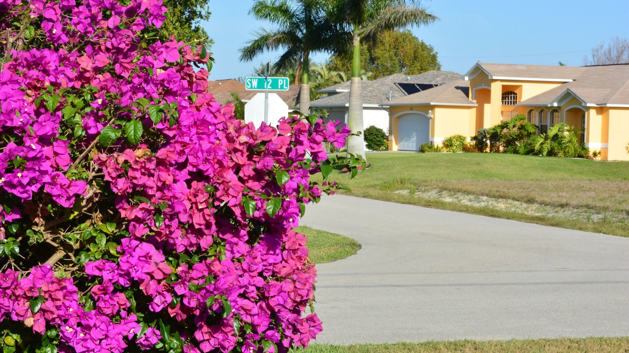 Photo of Outdoor in Pelican